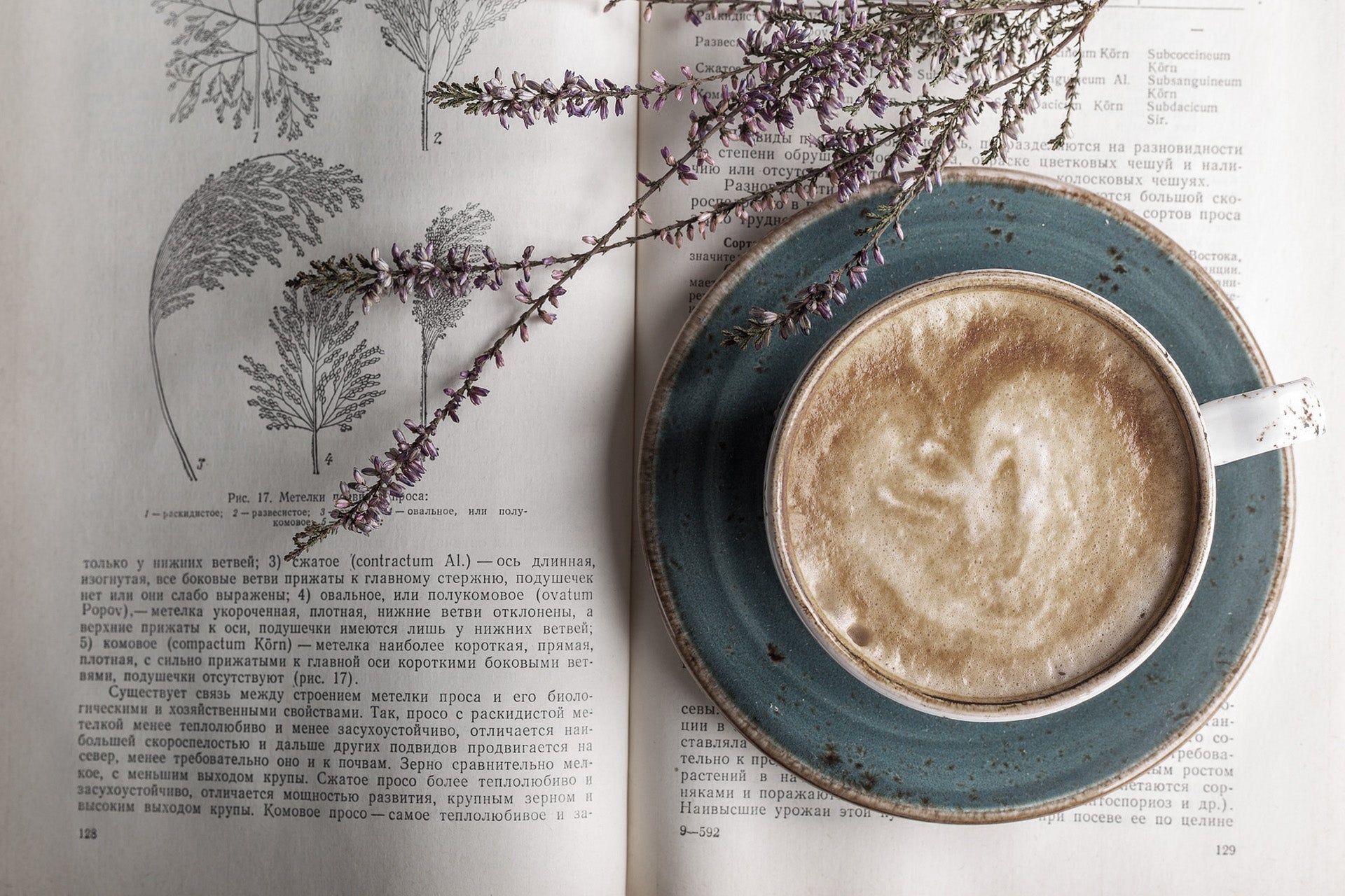 Kaffee-Crema-Auszeit